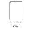 Hydrogel - zadní ochranná fólie - Apple iPad 10.2 (8.gen.) 2020
