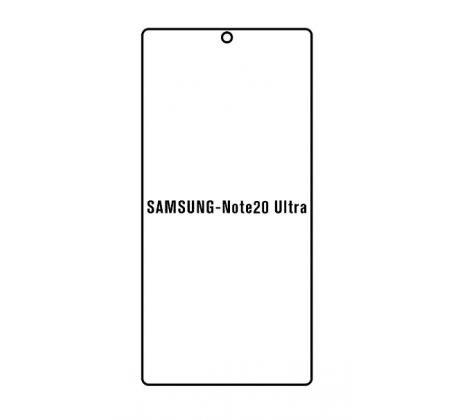 Hydrogel - ochranná fólie - Samsung Galaxy Note 20 Ultra, typ výřezu 3