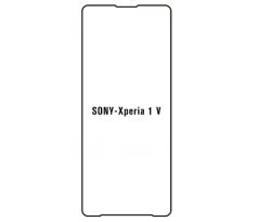 Hydrogel - ochranná fólie - Sony Xperia 1 V 