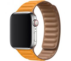 Koženkový řemínek Leather Link pro Apple Watch (38/40/41mm) California