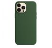 iPhone 13 Pro Max Silicone Case s MagSafe - Clover