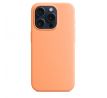 iPhone 15 Pro Max Silicone Case s MagSafe - Orange Sorbet