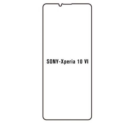 Hydrogel - ochranná fólie - Sony Xperia 10 VI (case friendly) 