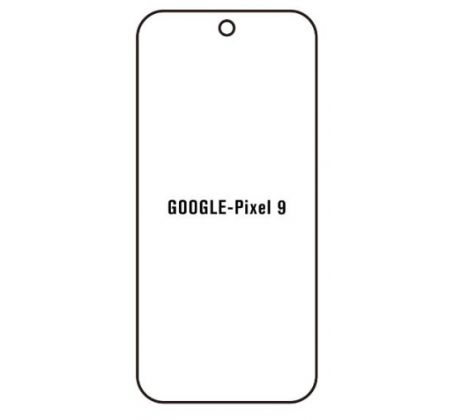 Hydrogel - Privacy Anti-Spy ochranná fólie - Google Pixel 9